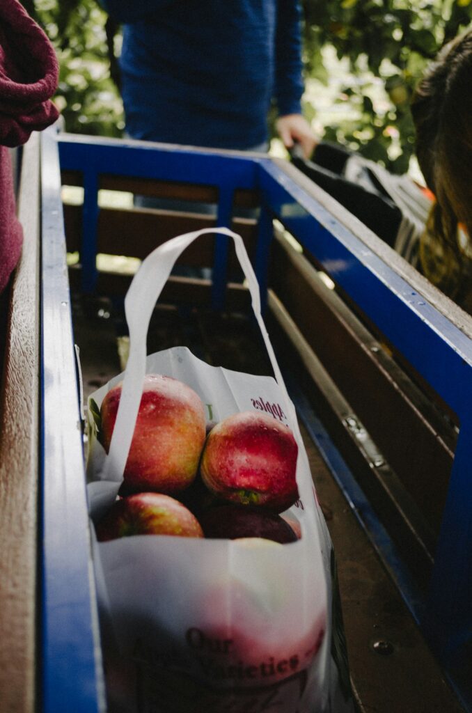 Does Blue Apple Exist? Here Are The Facts