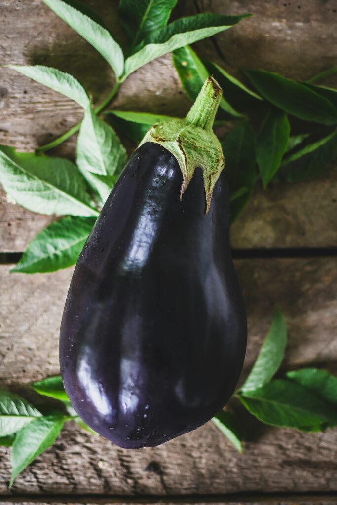 Do Eggplants Need a Trellis? Understanding Support Requirements for Healthy Growth