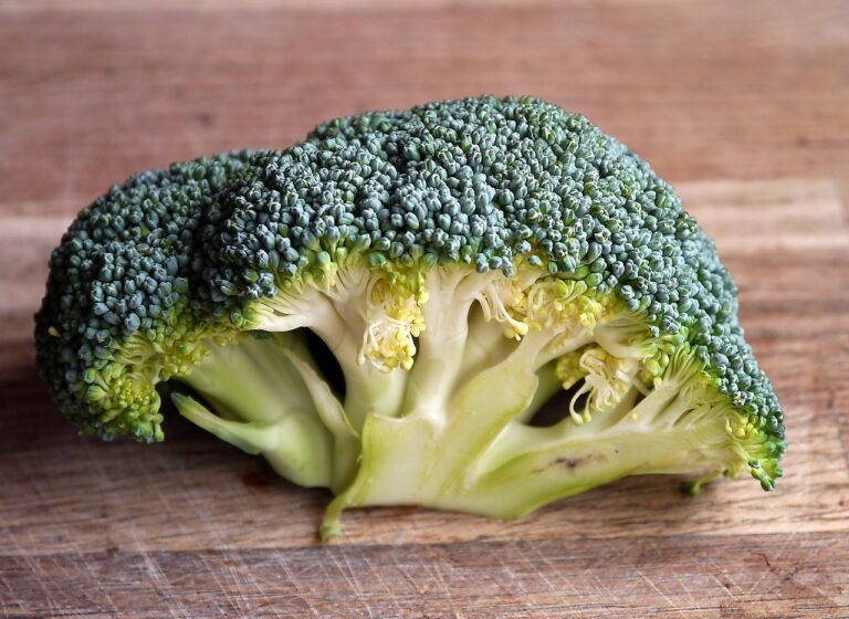 broccoli, vegetable, food-498600.jpg